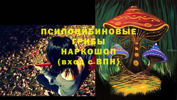 2c-b Коряжма