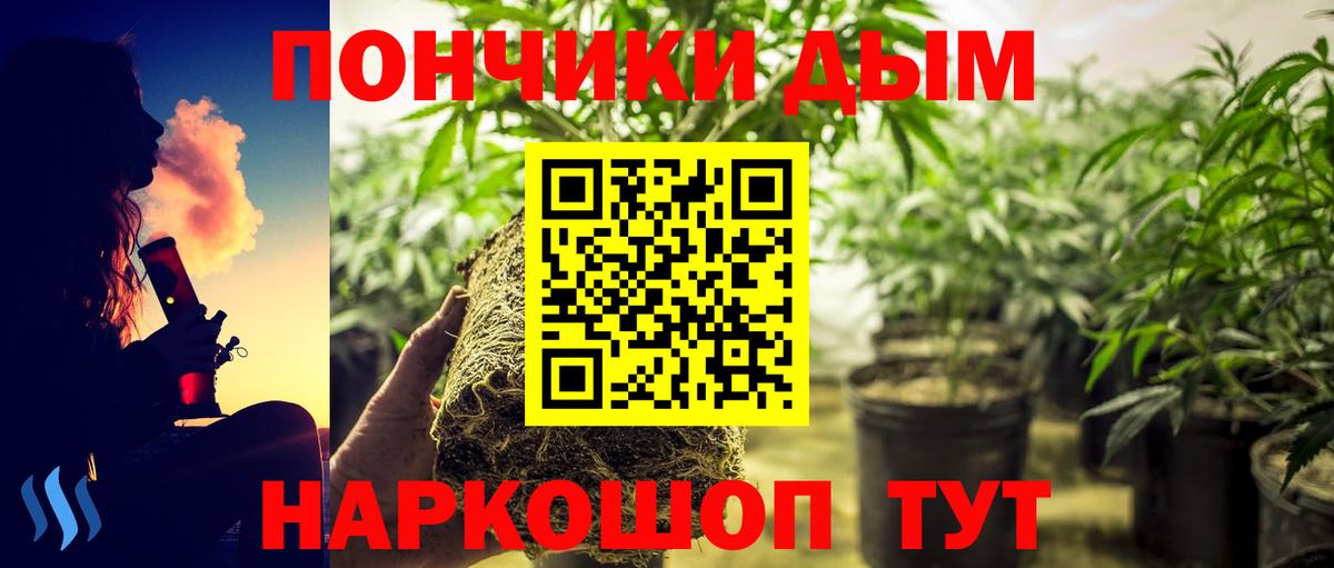 Марихуана тримм  Шишки марихуана план  Каменск-Уральский  Каннабис VHQ 